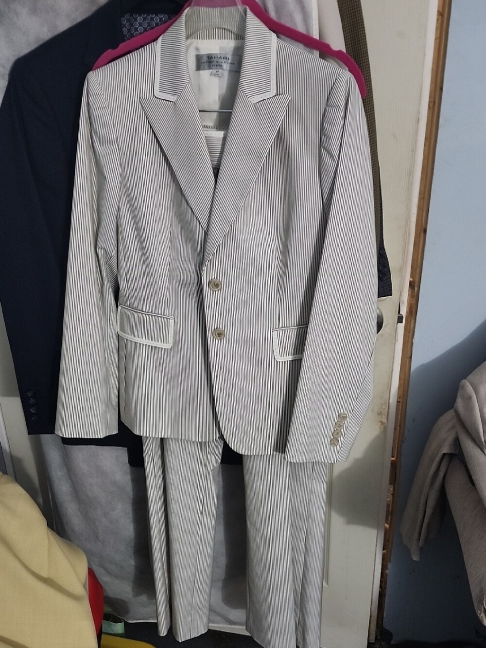 Pinstriped Women's Two-Piece Pantsuit in Light Gray